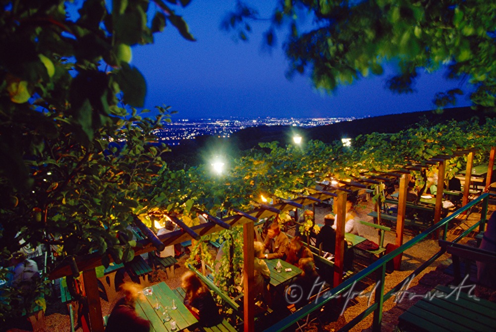 pergola of 