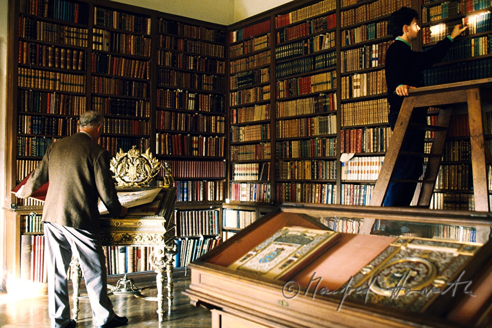 students in the Franz-Joseph-Lesesaal