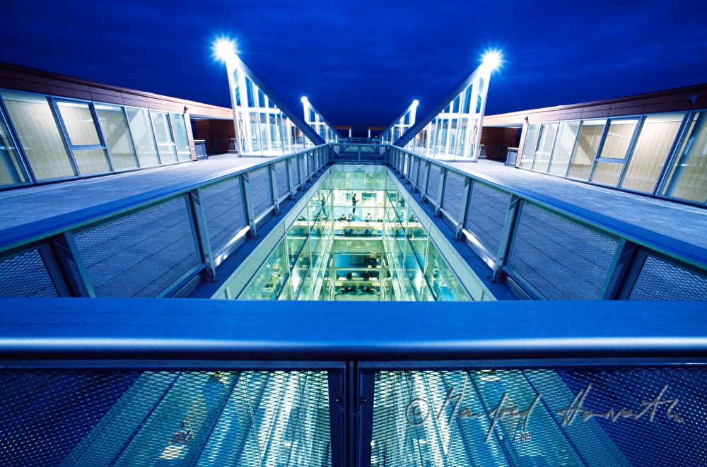 view from the roof to the atrium