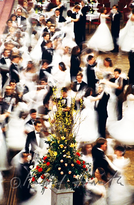Town Hall Ball, dancers and flower decoration