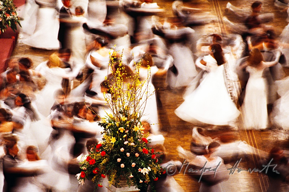 Town Hall Ball, dancers and flower decoration