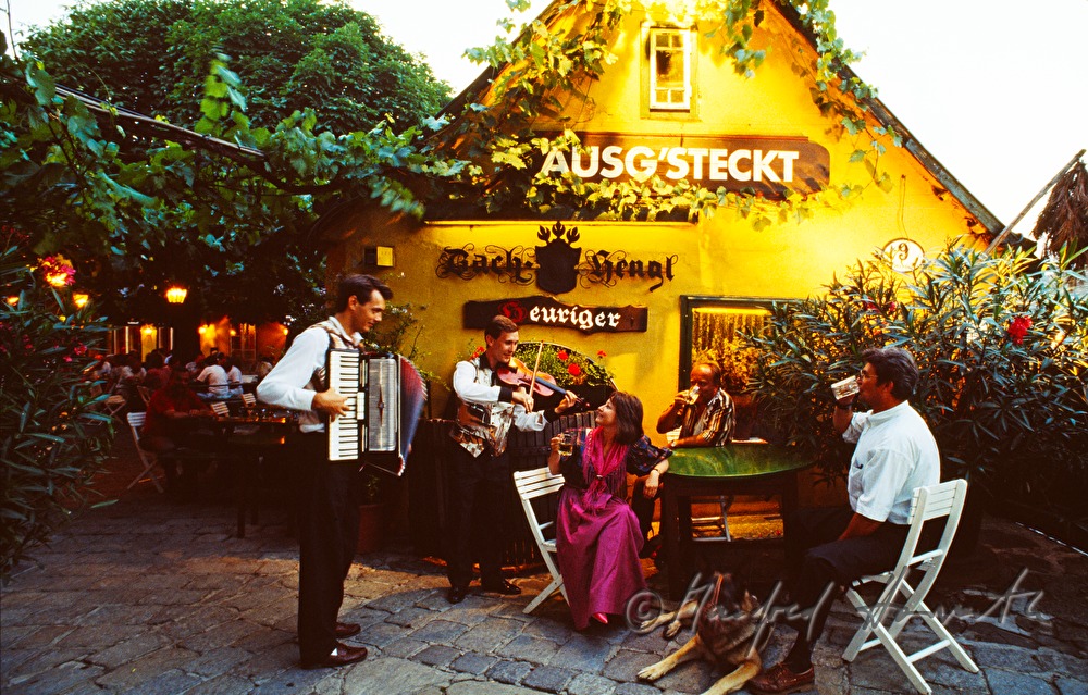 musicians make music for the guests