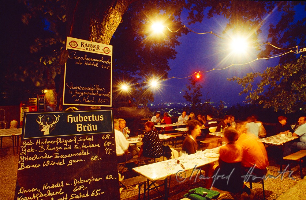 garden of the restaurant  