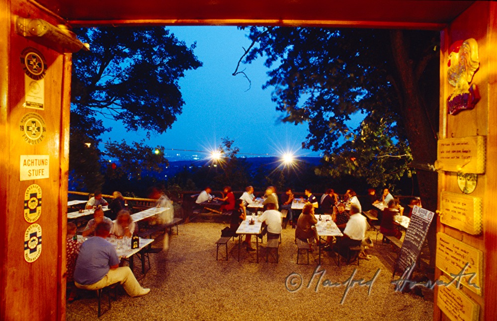 garden of the restaurant  