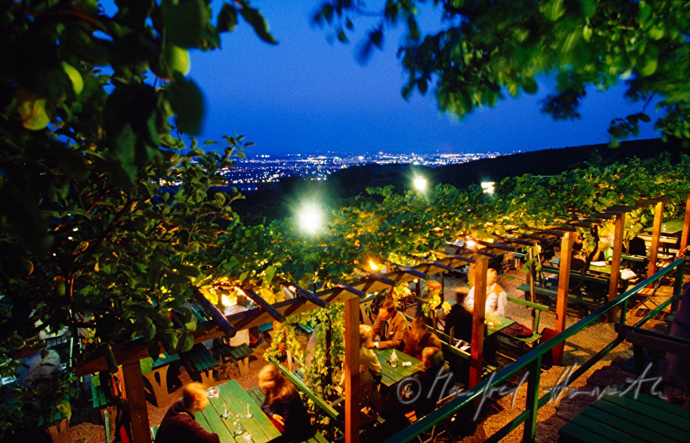 garden terrace of Heurigen Sirbu