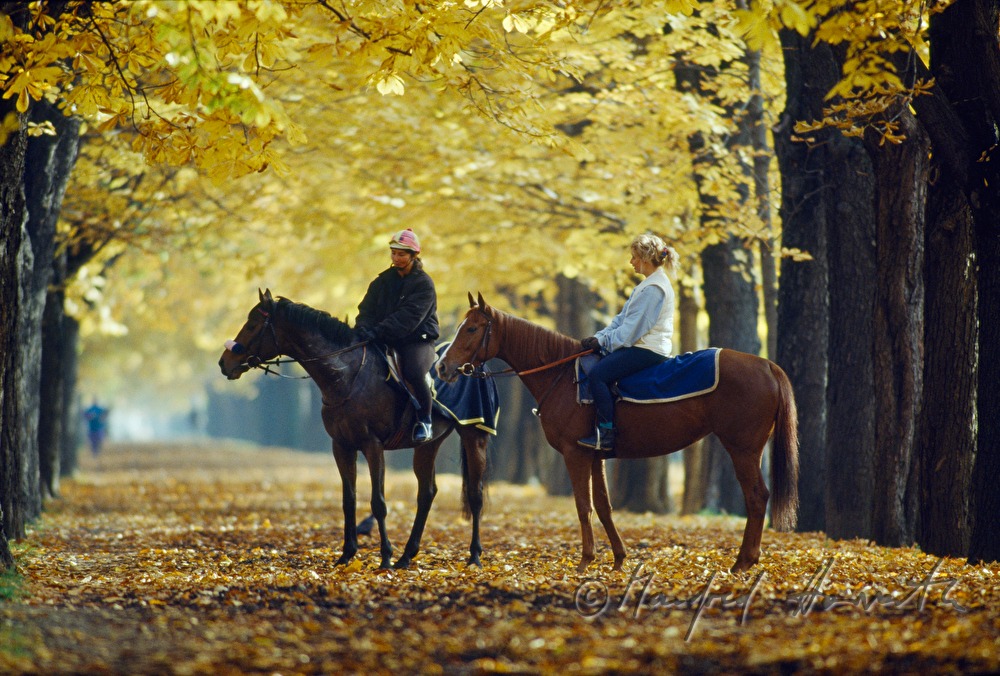 equestrians on the Prater Hauptallee