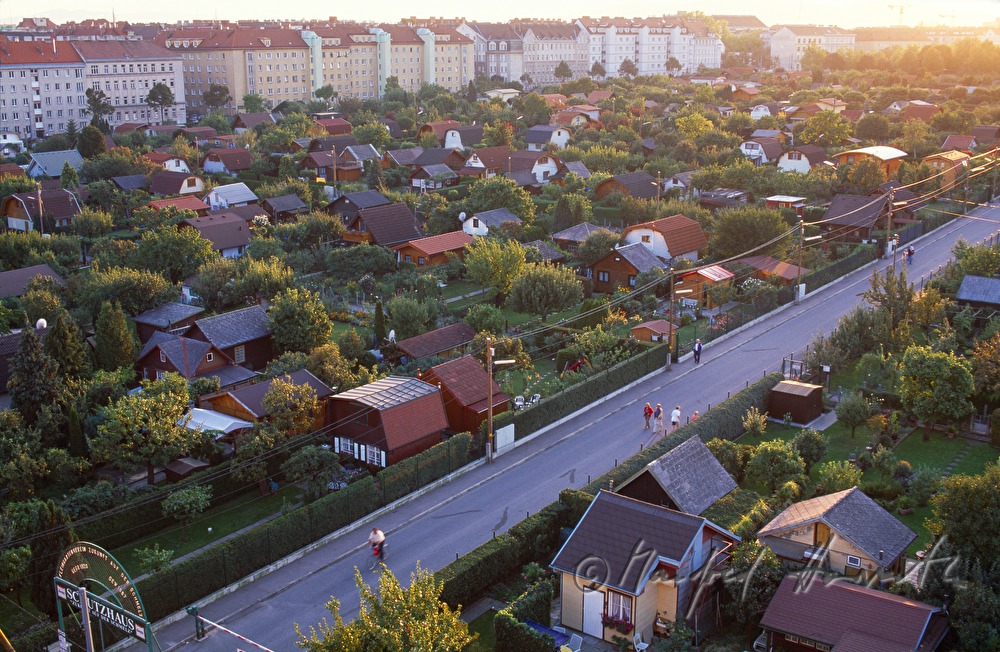 tiny houses and gardens (