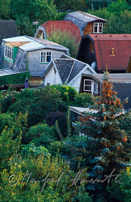 tiny houses and gardens (