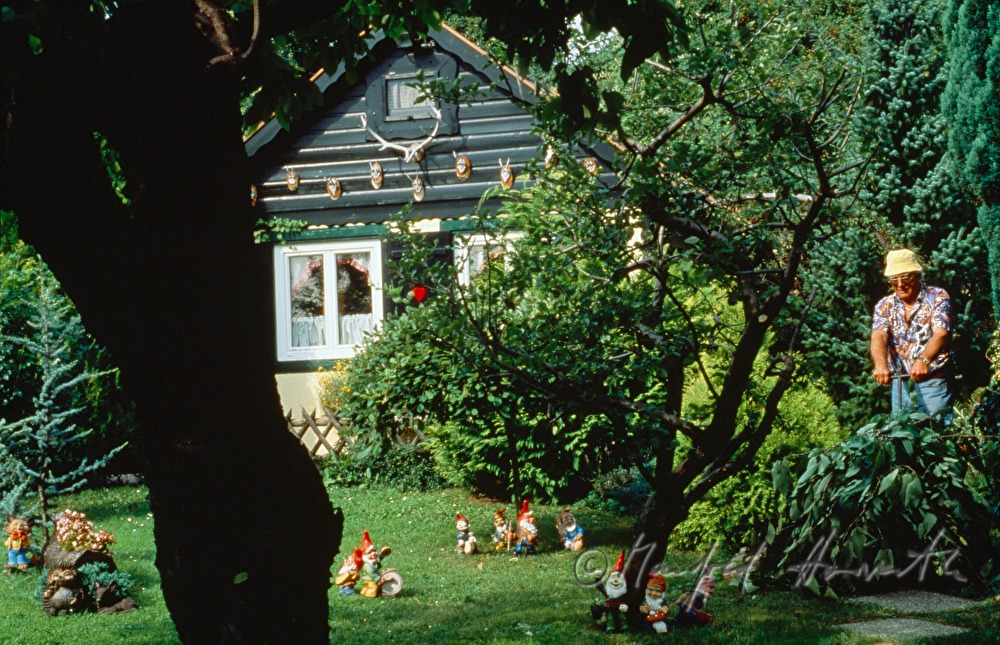 a man is mowing his lawn