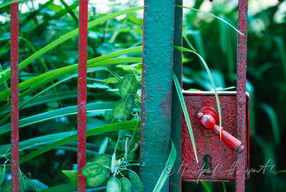 door of an allotment garden