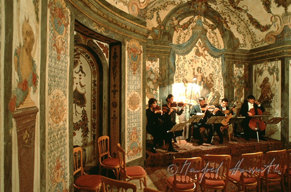 concert in Sala Terrena