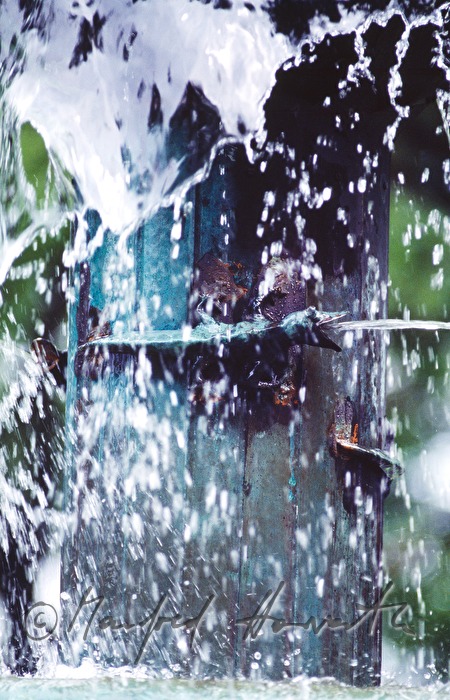 detail of the fountain