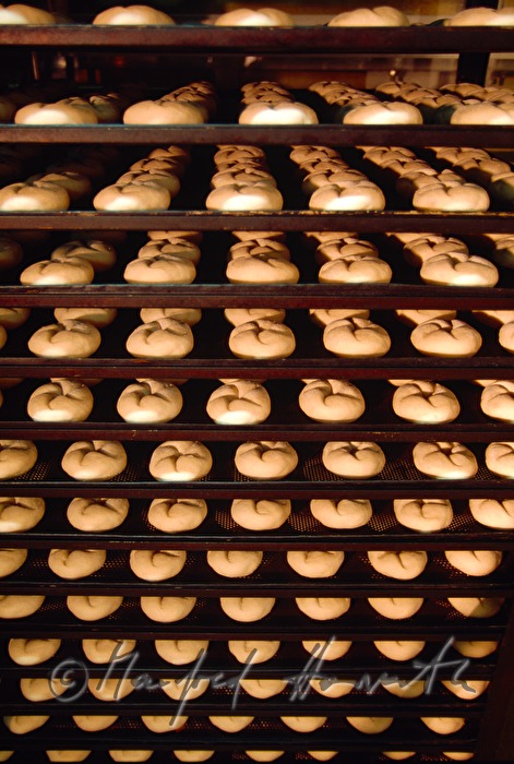 bread rolls on baking tins near the oven
