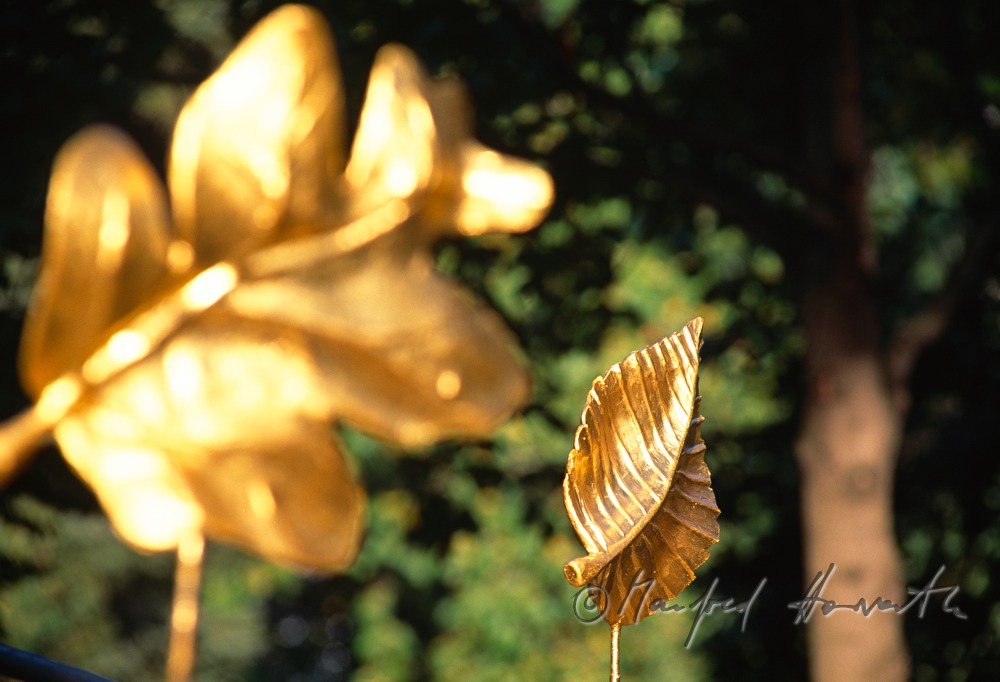 sculpture of a gplden leaf in Stadtpark