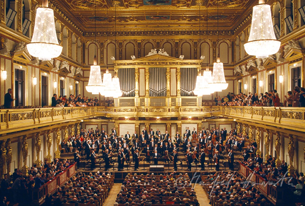 Wiener Symphoniker during a concert