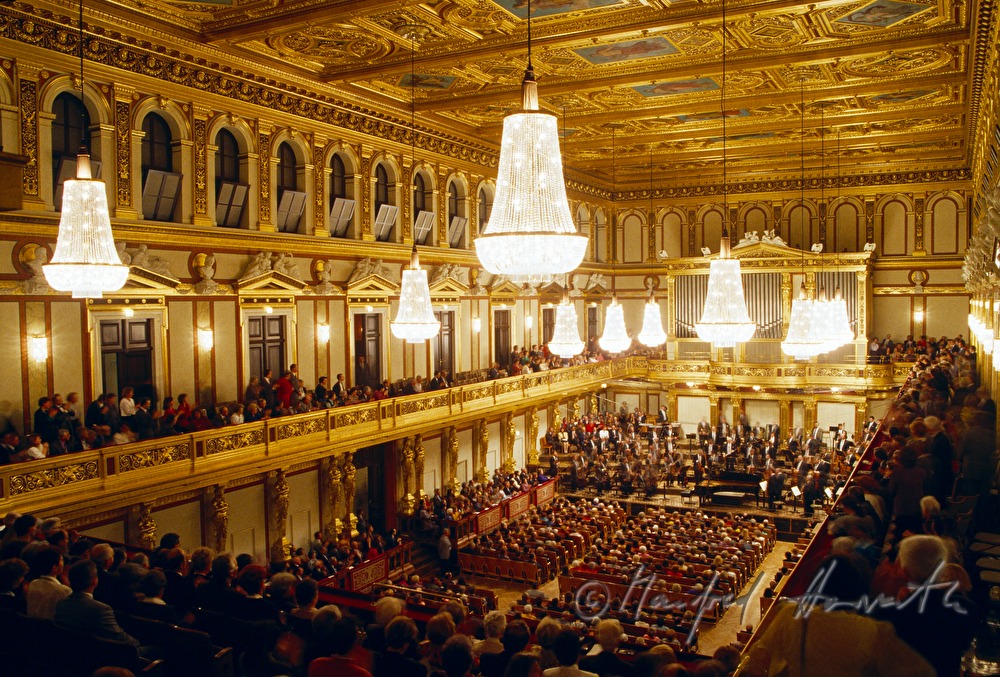 Wiener Symphoniker during a concert