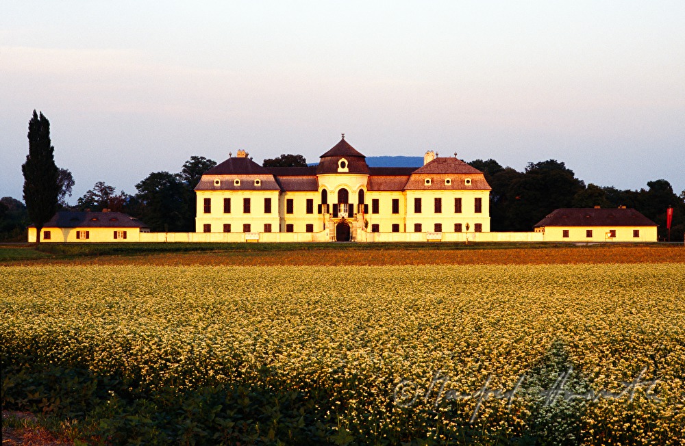 Castle Niederweiden and potato field