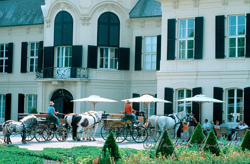 Castle Niederweiden, horse buggys, cafe
