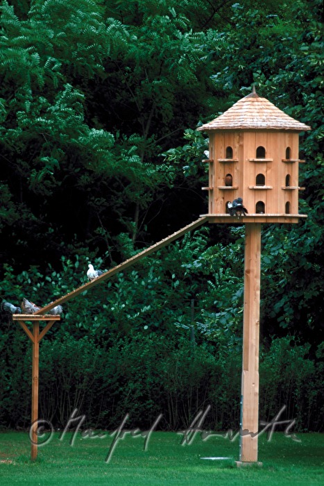 Castle Niederweiden, historic pigeon loft