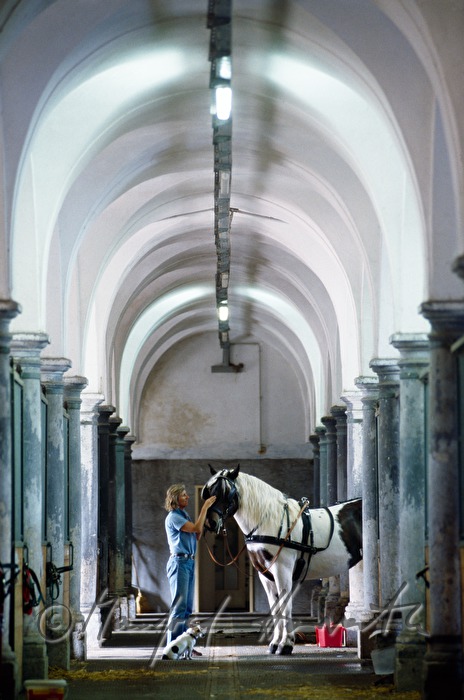 Castle Hof, horse stable