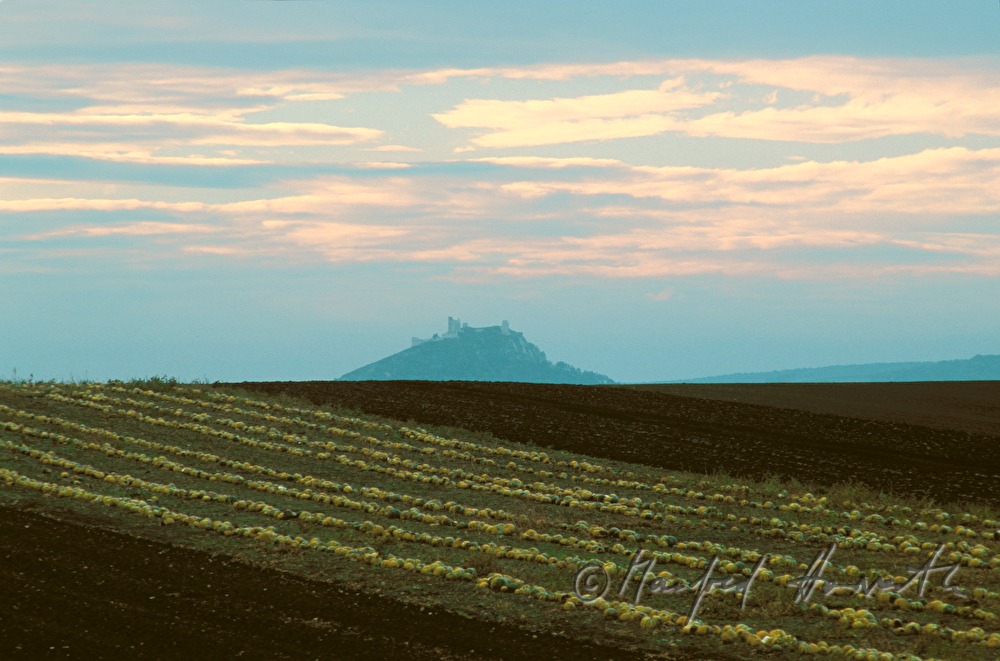 lime hill with the town of Staatz