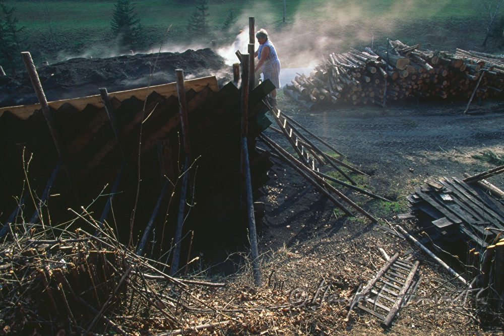 charcoal pile, production of charcoal