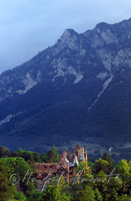Castle Rothschild in Reichenau