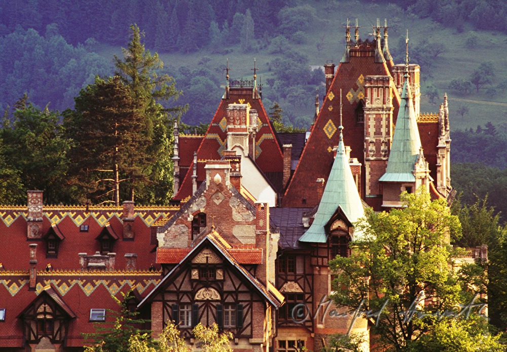 Castle Rothschild in Reichenau