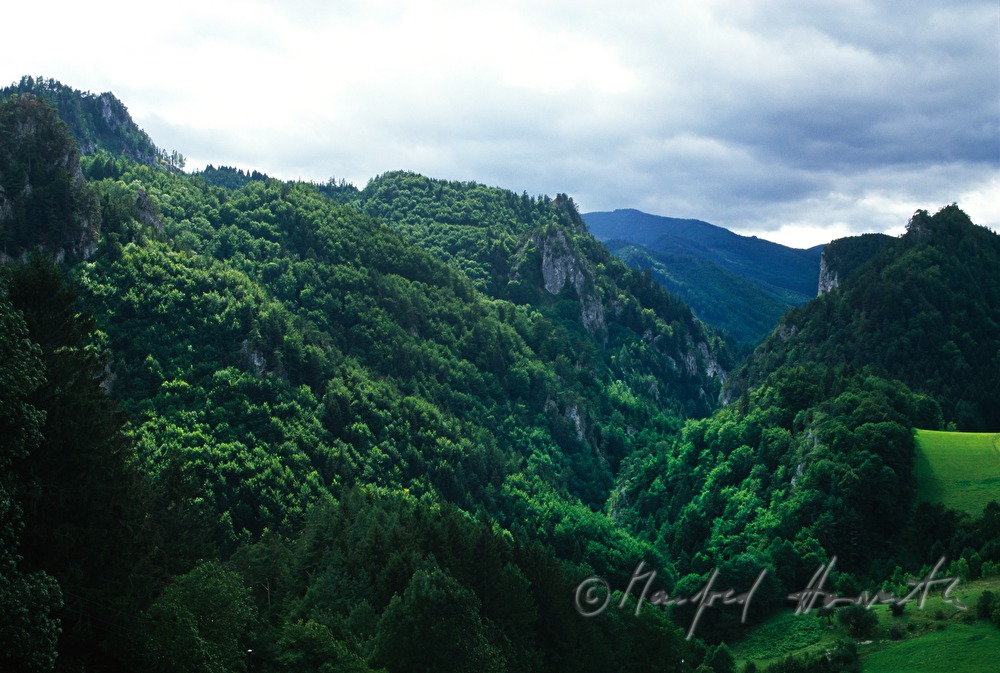 Adlitzgräben, forest and pinnacles