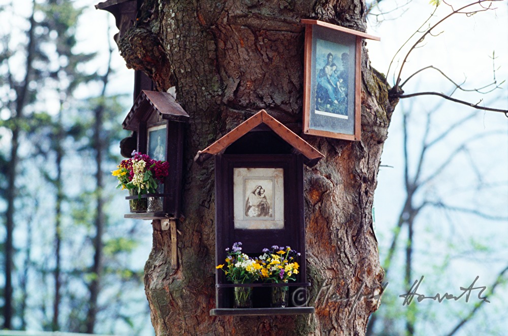 picture of saints on a tree near Südbahnhotel