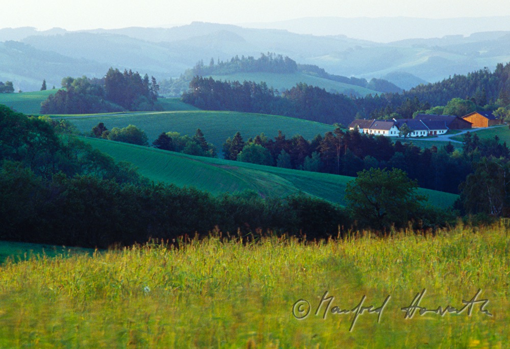 gentle hills of Bucklige Welt, farmhouse