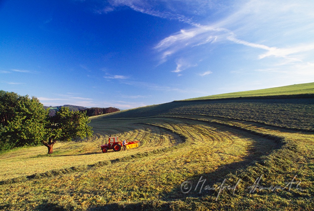 making hay with a tractor