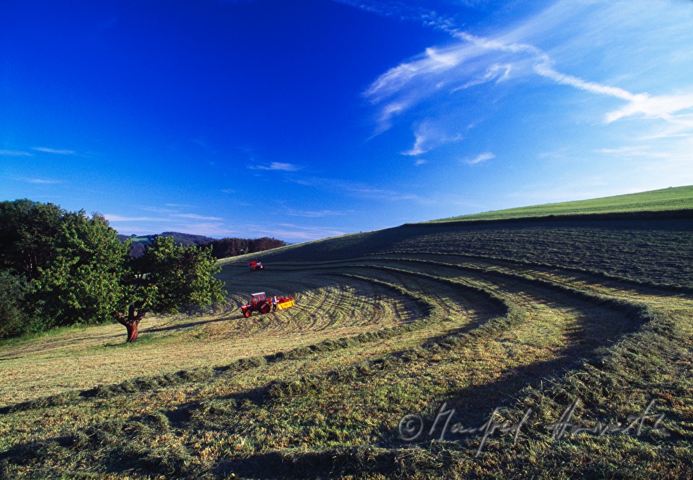 making hay with a tractor