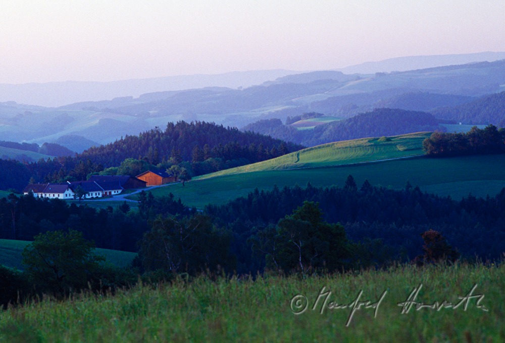 gentle hills of Bucklige Welt, farmhouse