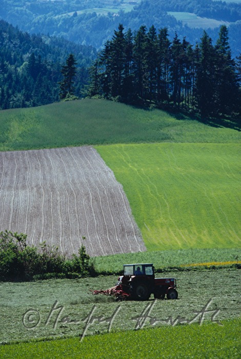making hay with a tractor