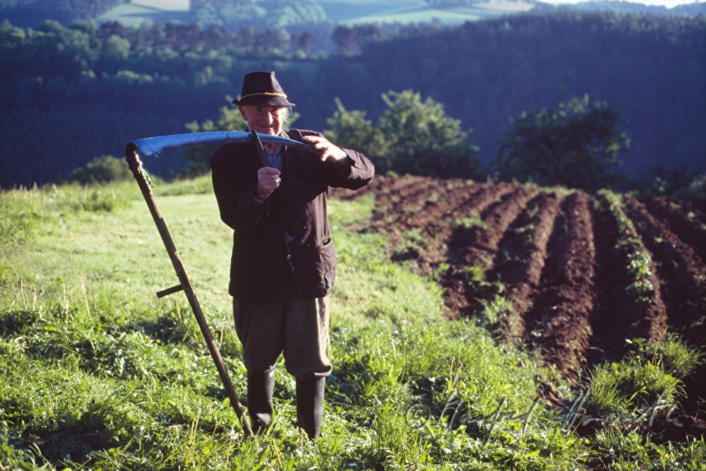 farmer makes hay with skythe