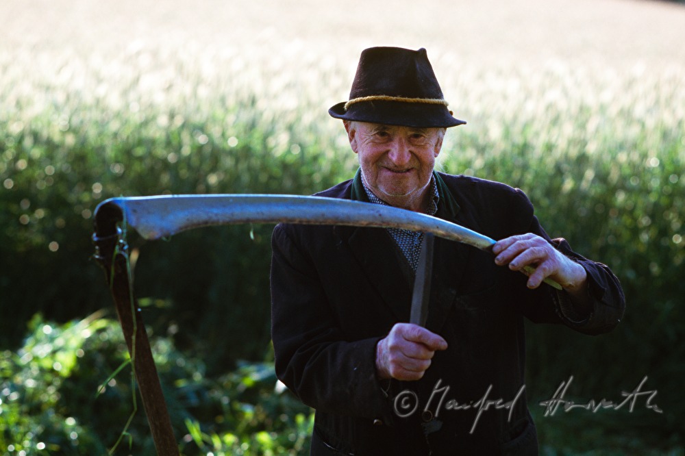 farmer makes hay with skythe