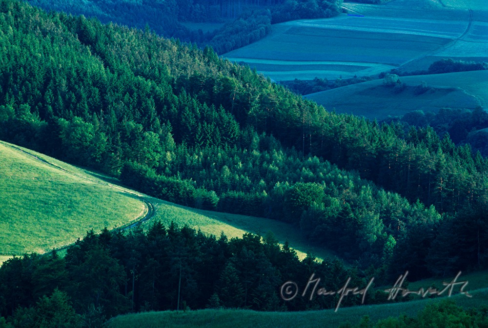 forest and hayland
