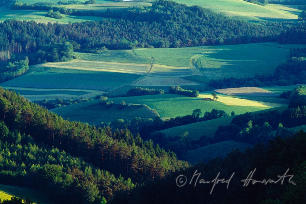 forest and hayland