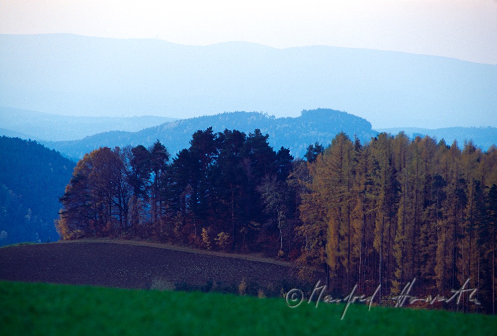 wavy landscape