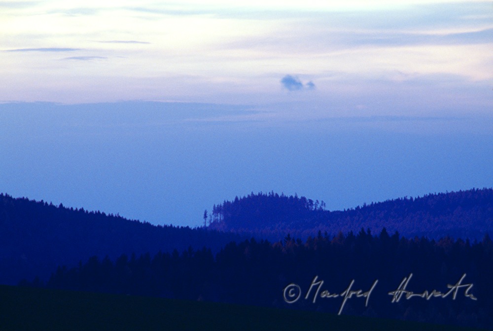 wavy landscape
