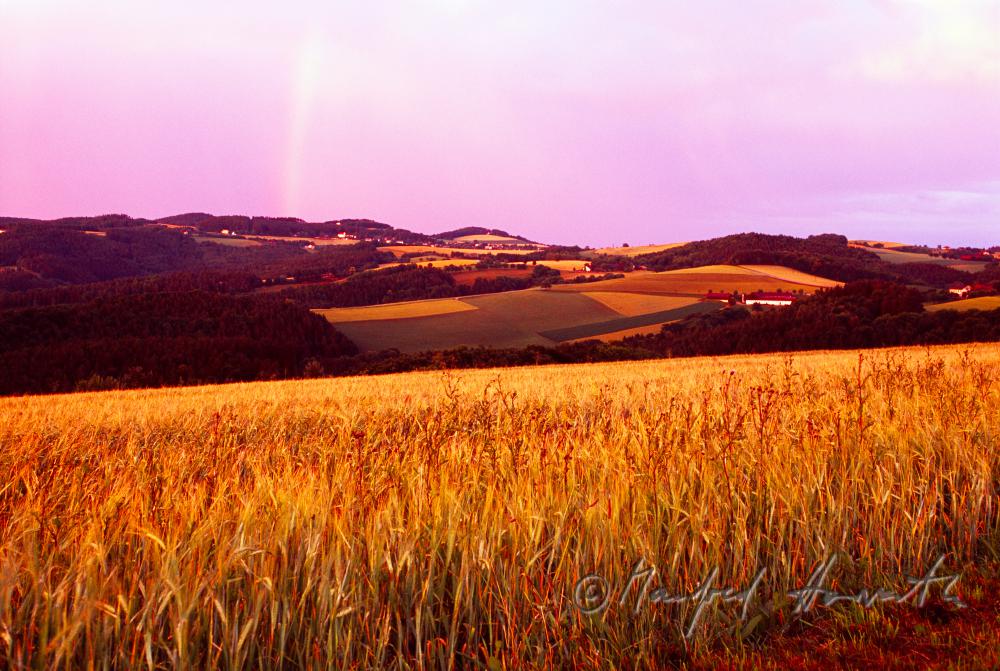 rainbow in the dawn
