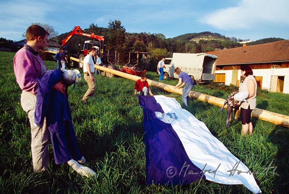decorating and aligning the maypole