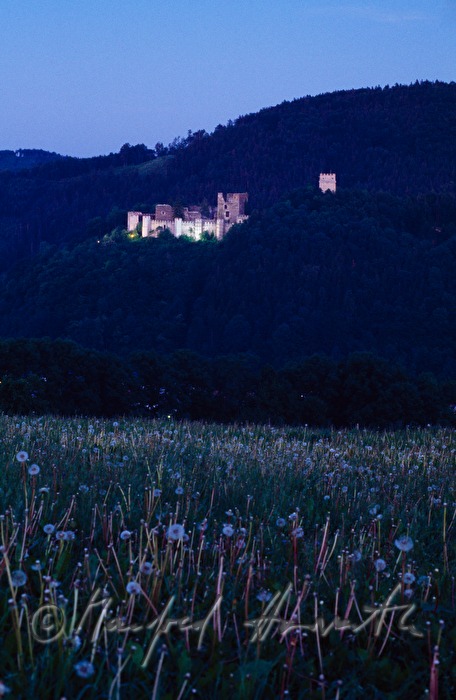 castle ruins of Kirchschlag