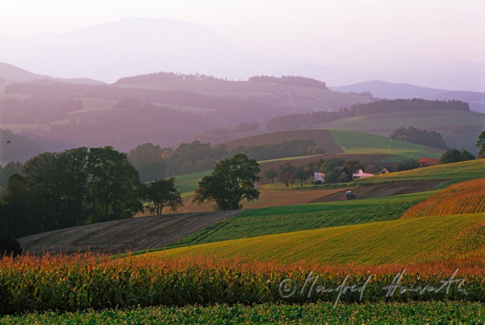 gentle hills of Bucklige Welt, farmhouse