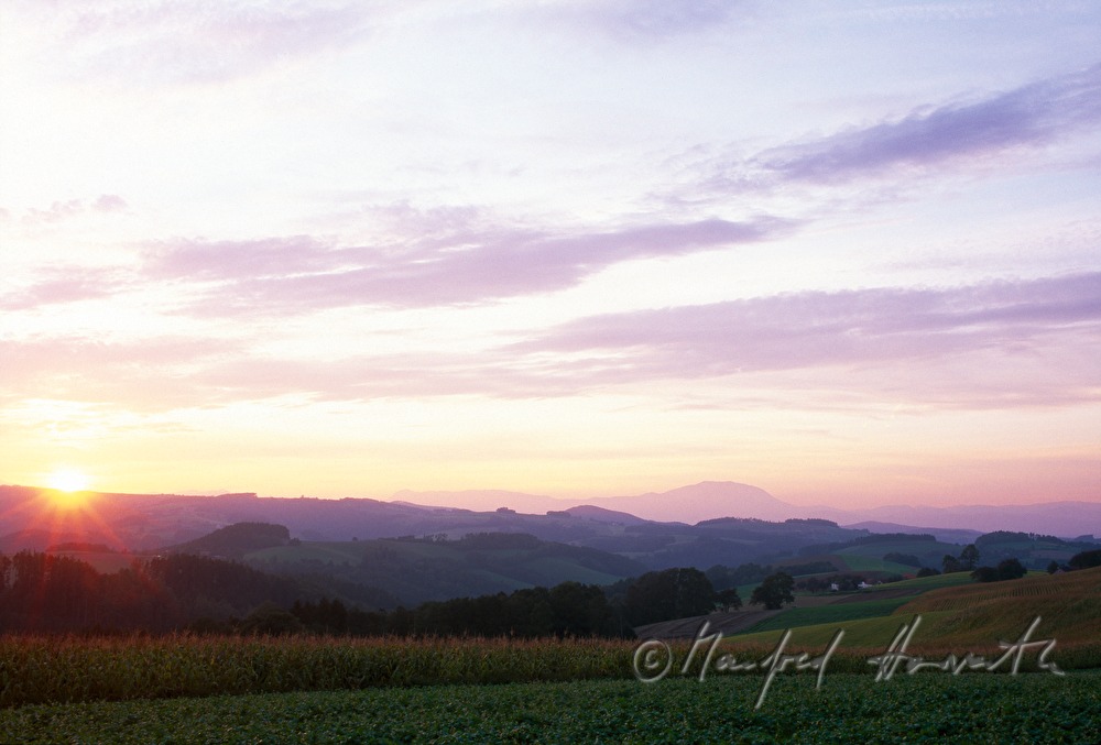 wavy landscape
