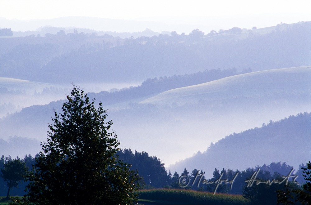 wavy landscape near Bromberg