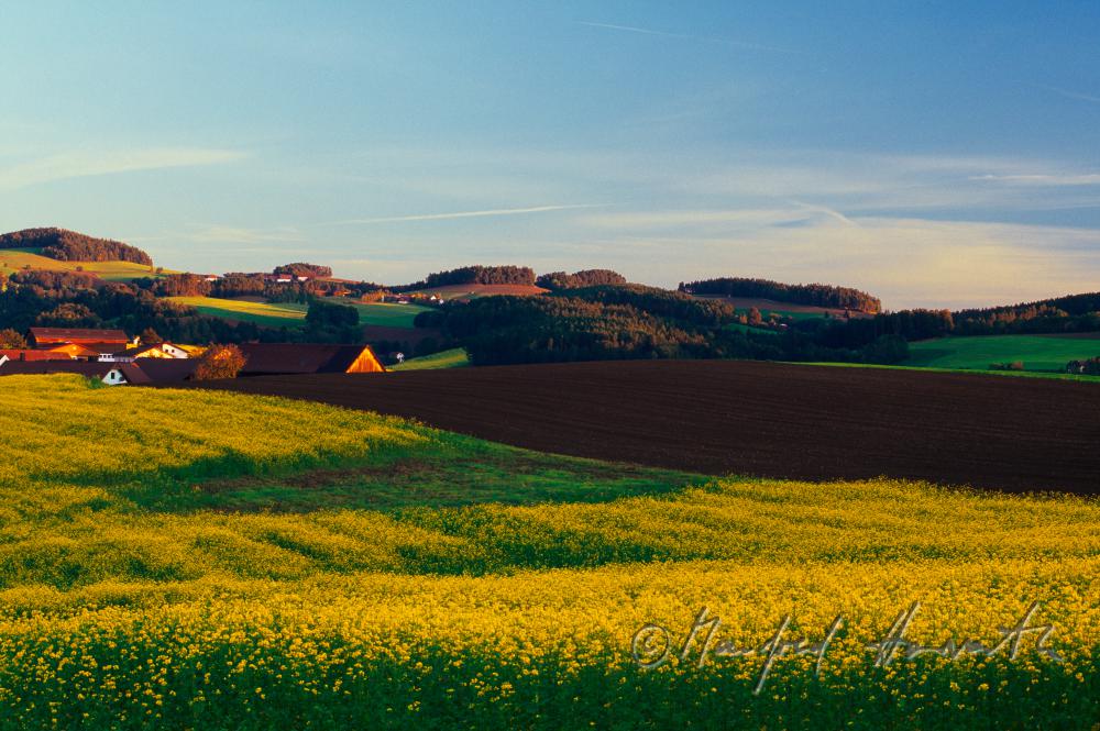 gentle hills of Bucklige Welt, farmhouse