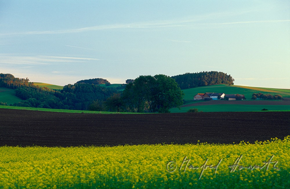 gentle hills of Bucklige Welt, farmhouse
