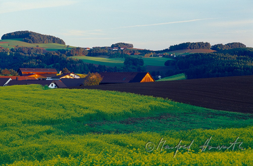 gentle hills of Bucklige Welt, farmhouse